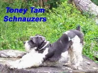 processed/82ced33f-3ec1-4704-9b67-b3b608f1d05b/facility/877d0b6f-a3ca-4634-8158-5a585ac07109