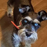 processed/82ced33f-3ec1-4704-9b67-b3b608f1d05b/facility/9f299973-24b5-498e-93cb-920511647542