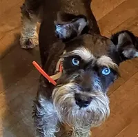 processed/82ced33f-3ec1-4704-9b67-b3b608f1d05b/facility/9f299973-24b5-498e-93cb-920511647542