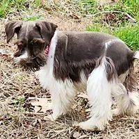 processed/82ced33f-3ec1-4704-9b67-b3b608f1d05b/facility/ca5c549f-d460-415a-ae31-e71b7c790e6b