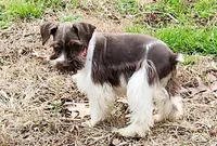 processed/82ced33f-3ec1-4704-9b67-b3b608f1d05b/facility/ca5c549f-d460-415a-ae31-e71b7c790e6b