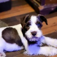 processed/82ced33f-3ec1-4704-9b67-b3b608f1d05b/facility/ed73c30b-c8a0-4ac1-bfb4-f9b16ac6c16e