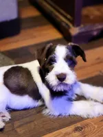 processed/82ced33f-3ec1-4704-9b67-b3b608f1d05b/facility/ed73c30b-c8a0-4ac1-bfb4-f9b16ac6c16e