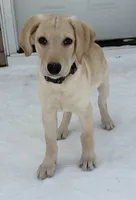 processed/82d0a3aa-0cfa-42eb-9ced-0cafe4382ca9/listing/cb829692-27b7-4b2f-94da-90e0134f9a76/721ecc8d-db5f-4303-b7cf-193c411b905c