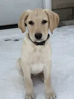 processed/82d0a3aa-0cfa-42eb-9ced-0cafe4382ca9/listing/cb829692-27b7-4b2f-94da-90e0134f9a76/769b9ba8-3fff-4290-8df9-6e495b386dc3