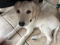 processed/82d0a3aa-0cfa-42eb-9ced-0cafe4382ca9/listing/cb829692-27b7-4b2f-94da-90e0134f9a76/fdb75e48-c404-4ad8-a1e9-a7351b4b9a2d