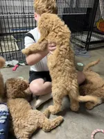 processed/82d7c501-1b2e-413f-97eb-cf2786a09ca3/facility/05a5cb7b-7815-43f0-b934-077bf9c94324