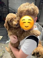 processed/82d7c501-1b2e-413f-97eb-cf2786a09ca3/facility/08c2ec14-78a1-4991-931e-0b36724d76ca