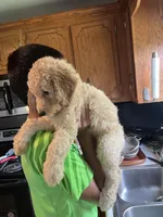 processed/82d7c501-1b2e-413f-97eb-cf2786a09ca3/facility/679f1521-aea7-45cd-a2bb-9ad89f866104