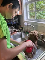 processed/82d7c501-1b2e-413f-97eb-cf2786a09ca3/facility/c2d45cb3-2c4f-4c21-a3ec-5bea6eb77071