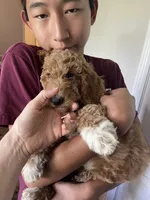 processed/82d7c501-1b2e-413f-97eb-cf2786a09ca3/facility/f5237976-ae3b-4a64-ba5a-d0a4bf1fc190