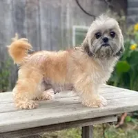 processed/82f1eccb-1b49-4800-a138-e407c753f581/facility/310c3c38-f19d-4327-a8ba-d643097b880e