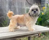 processed/82f1eccb-1b49-4800-a138-e407c753f581/facility/310c3c38-f19d-4327-a8ba-d643097b880e