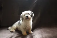 processed/82f1eccb-1b49-4800-a138-e407c753f581/facility/4b16c020-7c50-4b2a-b31a-d6dc26f9d349