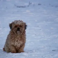 processed/82f1eccb-1b49-4800-a138-e407c753f581/facility/88666e8e-a653-4495-9e5b-9619d95dd40b