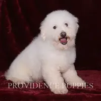 processed/82f1eccb-1b49-4800-a138-e407c753f581/facility/d98376af-d8f2-4f18-a03b-c4d0e7bc340a