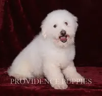 processed/82f1eccb-1b49-4800-a138-e407c753f581/facility/d98376af-d8f2-4f18-a03b-c4d0e7bc340a