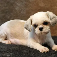 processed/82f1eccb-1b49-4800-a138-e407c753f581/facility/fd412e5e-a29a-4ed4-80f0-495b3368950f