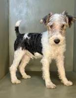 processed/82f1eccb-1b49-4800-a138-e407c753f581/listing/10f0de6f-8814-4822-8e5d-045d5c6507b5/045c9ae4-e54a-4383-920c-adc4ac8feb94