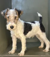 processed/82f1eccb-1b49-4800-a138-e407c753f581/listing/10f0de6f-8814-4822-8e5d-045d5c6507b5/489e729c-0208-43f2-a887-f9872d13eba0