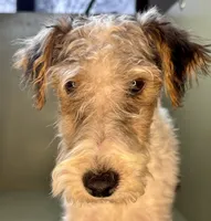 processed/82f1eccb-1b49-4800-a138-e407c753f581/listing/10f0de6f-8814-4822-8e5d-045d5c6507b5/4e775ad0-3a03-4a62-9bed-2d3ae9a2feb3