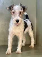 processed/82f1eccb-1b49-4800-a138-e407c753f581/listing/10f0de6f-8814-4822-8e5d-045d5c6507b5/5faa652c-b7fa-4bd8-99fd-6cdce4607e4d