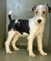 processed/82f1eccb-1b49-4800-a138-e407c753f581/listing/10f0de6f-8814-4822-8e5d-045d5c6507b5/62961359-9269-4455-a3c9-f5d996db6248