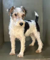 processed/82f1eccb-1b49-4800-a138-e407c753f581/listing/10f0de6f-8814-4822-8e5d-045d5c6507b5/88390bb2-e045-45d4-a012-b3087c4ec3c8