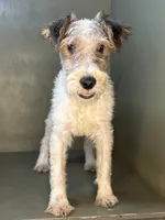 processed/82f1eccb-1b49-4800-a138-e407c753f581/listing/10f0de6f-8814-4822-8e5d-045d5c6507b5/92f96eaa-3a93-4d65-84c8-d8737c4ead65