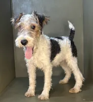 processed/82f1eccb-1b49-4800-a138-e407c753f581/listing/10f0de6f-8814-4822-8e5d-045d5c6507b5/da89faa2-e5f7-4244-a47e-386cca10bed8