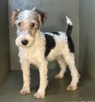 processed/82f1eccb-1b49-4800-a138-e407c753f581/listing/10f0de6f-8814-4822-8e5d-045d5c6507b5/e977be01-2f83-4d0d-b9b3-6d5438635566