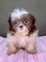 processed/82f1eccb-1b49-4800-a138-e407c753f581/listing/2c694f26-4c09-40f1-8ed1-8570baee1f1d/0867c916-3dbd-45b6-87a0-ad1d59a3ddac