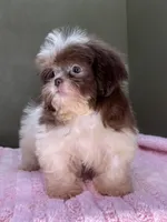 processed/82f1eccb-1b49-4800-a138-e407c753f581/listing/2c694f26-4c09-40f1-8ed1-8570baee1f1d/3eaa2fa1-59b1-4492-8df7-fbf241f6c4ad