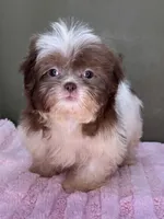 processed/82f1eccb-1b49-4800-a138-e407c753f581/listing/2c694f26-4c09-40f1-8ed1-8570baee1f1d/4043a583-bcbb-4c3d-8aac-4219ddd97ed7