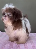 processed/82f1eccb-1b49-4800-a138-e407c753f581/listing/2c694f26-4c09-40f1-8ed1-8570baee1f1d/5749b23d-26b8-4363-9e46-4831f7fef502