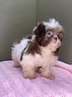 processed/82f1eccb-1b49-4800-a138-e407c753f581/listing/2c694f26-4c09-40f1-8ed1-8570baee1f1d/6873f2b0-e779-4b48-8009-dc4e068d5954