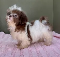 processed/82f1eccb-1b49-4800-a138-e407c753f581/listing/2c694f26-4c09-40f1-8ed1-8570baee1f1d/86d76c45-f8da-4fc4-b07c-893849598a96