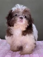 processed/82f1eccb-1b49-4800-a138-e407c753f581/listing/2c694f26-4c09-40f1-8ed1-8570baee1f1d/d7956f1b-ef32-459f-85f8-8b962eb5a747