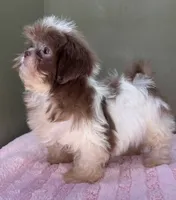 processed/82f1eccb-1b49-4800-a138-e407c753f581/listing/2c694f26-4c09-40f1-8ed1-8570baee1f1d/de823f17-ed95-4b31-9109-44099805a6b3