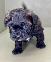 processed/82f1eccb-1b49-4800-a138-e407c753f581/listing/2c6a330c-01d4-44dd-857d-6df9fd8e3957/29ea933d-53bc-4e0f-ba47-29d5d652da7f