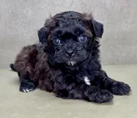 processed/82f1eccb-1b49-4800-a138-e407c753f581/listing/2c6a330c-01d4-44dd-857d-6df9fd8e3957/365f9132-d43a-4245-aa07-9e7eb921aab7