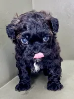 processed/82f1eccb-1b49-4800-a138-e407c753f581/listing/2c6a330c-01d4-44dd-857d-6df9fd8e3957/669a15a6-8525-45c7-bd50-ae39500cb096