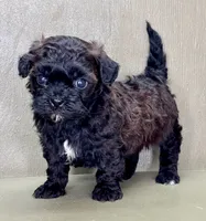 processed/82f1eccb-1b49-4800-a138-e407c753f581/listing/2c6a330c-01d4-44dd-857d-6df9fd8e3957/92bc7167-2efe-4a17-aab5-435b3ef6d2e8