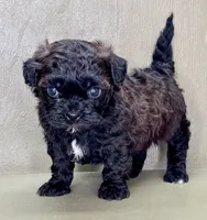 processed/82f1eccb-1b49-4800-a138-e407c753f581/listing/2c6a330c-01d4-44dd-857d-6df9fd8e3957/a57a34c3-1196-4e47-a521-b16d28d510e2