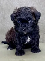 processed/82f1eccb-1b49-4800-a138-e407c753f581/listing/2c6a330c-01d4-44dd-857d-6df9fd8e3957/e153d5ac-48d9-47ab-bce0-17b211fc9443