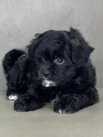 processed/82f1eccb-1b49-4800-a138-e407c753f581/listing/2c6ae6fe-557d-438b-91b9-46158e58087d/2162e17e-ba8e-4783-b5cb-4a23b86417ce