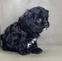 processed/82f1eccb-1b49-4800-a138-e407c753f581/listing/2c6ae6fe-557d-438b-91b9-46158e58087d/289e2480-7aed-4746-a5d5-7fe42113c376