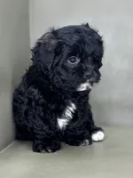 processed/82f1eccb-1b49-4800-a138-e407c753f581/listing/2c6ae6fe-557d-438b-91b9-46158e58087d/2cbc123e-2960-49ec-bcbd-dd95caef9e42