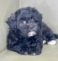 processed/82f1eccb-1b49-4800-a138-e407c753f581/listing/2c6ae6fe-557d-438b-91b9-46158e58087d/30682f41-4dc4-4ca8-aab3-13e2b24a0d70