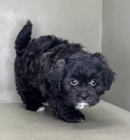 processed/82f1eccb-1b49-4800-a138-e407c753f581/listing/2c6ae6fe-557d-438b-91b9-46158e58087d/43841e1f-306f-4b72-b6fa-ad4266577d46